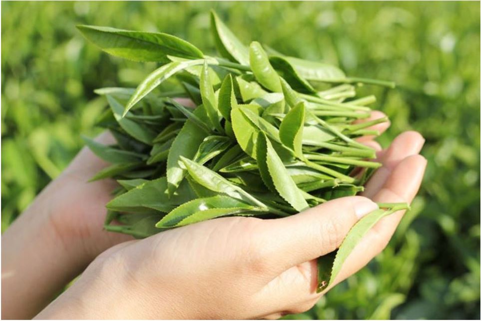 7 mẹo dân gian giúp tóc giảm gãy rụng, mọc chắc khỏe trở lại